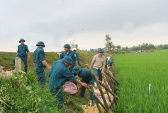 Ảnh lực lượng xung kích phòng chống thiên tai (1)