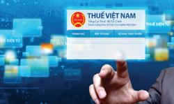 Chiến lược cải cách hệ thống thuế đến năm 2030