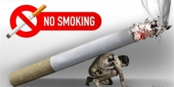 Hưởng ứng Ngày thế giới không thuốc lá (31/5) và Tuần lễ quốc gia không thuốc lá