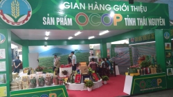 Hội chợ