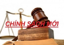 Chính sách khuyến khích và biện pháp bảo vệ cán bộ năng động, sáng tạo, dám nghĩ, dám làm
