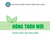 Bộ Cẩm nang về hướng dẫn thực hiện Chương trình Mục tiêu quốc gia xây dựng nông thôn mới giai đoạn 2021-2025