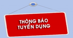 THÔNG BÁO TUYỂN DỤNG HỢP ĐỒNG LAO ĐỘNG