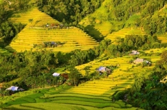Nâng cao năng lực đội ngũ báo cáo viên pháp luật, tuyên truyền viên pháp luật tại vùng đồng bào dân tộc thiểu số, miền núi
