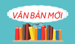 Quy định chuyển đổi công chức, viên chức giải quyết công việc thuộc lĩnh vực tài chính tại chính quyền địa phương