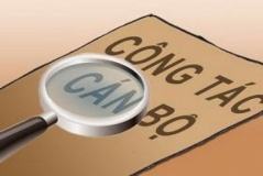 Thí điểm giao quyền, trách nhiệm cho người đứng đầu trong công tác tổ chức