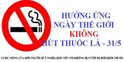 Tổ chức các hoạt động hưởng ứng Ngày Thế giới không thuốc lá 31/5