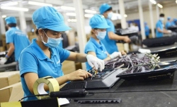 Doanh nghiệp nhỏ và vừa là lực lượng quan trọng của nền kinh tế