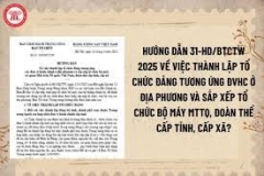 HD của BTCTWW