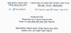 Nghị quyết thành lập các cơ quan chuyên môn thuộc Ủy ban nhân dân tỉnh Thái Nguyên (mới)