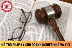 bìa hỗ trợ pháp lý cho dn