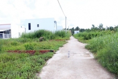 BÌA GIAO ĐẤT XEN KẸT