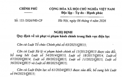 Chính phủ ban hành Nghị định số 133/2026/NĐ-CP về xử lý vi phạm hành chính trong lĩnh vực điện lực