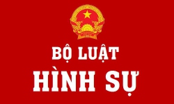 Những điểm mới của nhóm tội phạm về ma túy trong Bộ luật hình sự 2015 (sửa đổi, bổ sung năm 2017)