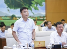 ảnh BTP