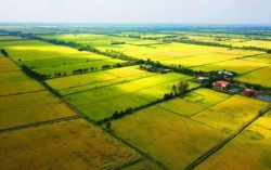 diem moi luat dat dai=2024