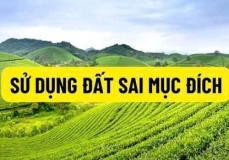 TỜ GẤP: MỘT SỐ QUY ĐỊNH XỬ PHẠT VI PHẠM HÀNH CHÍNH TRONG LĨNH VỰC ĐẤT ĐAI VỀ HÀNH VI SỬ DỤNG ĐẤT SAI MỤC ĐÍCH