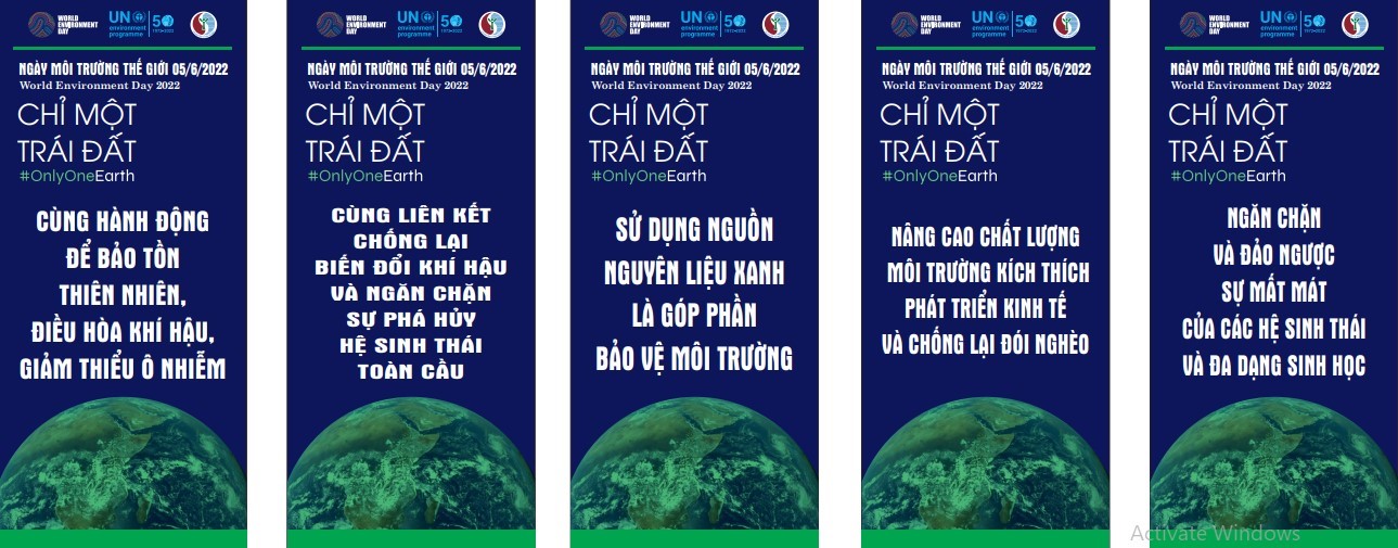 Ảnh MT 6