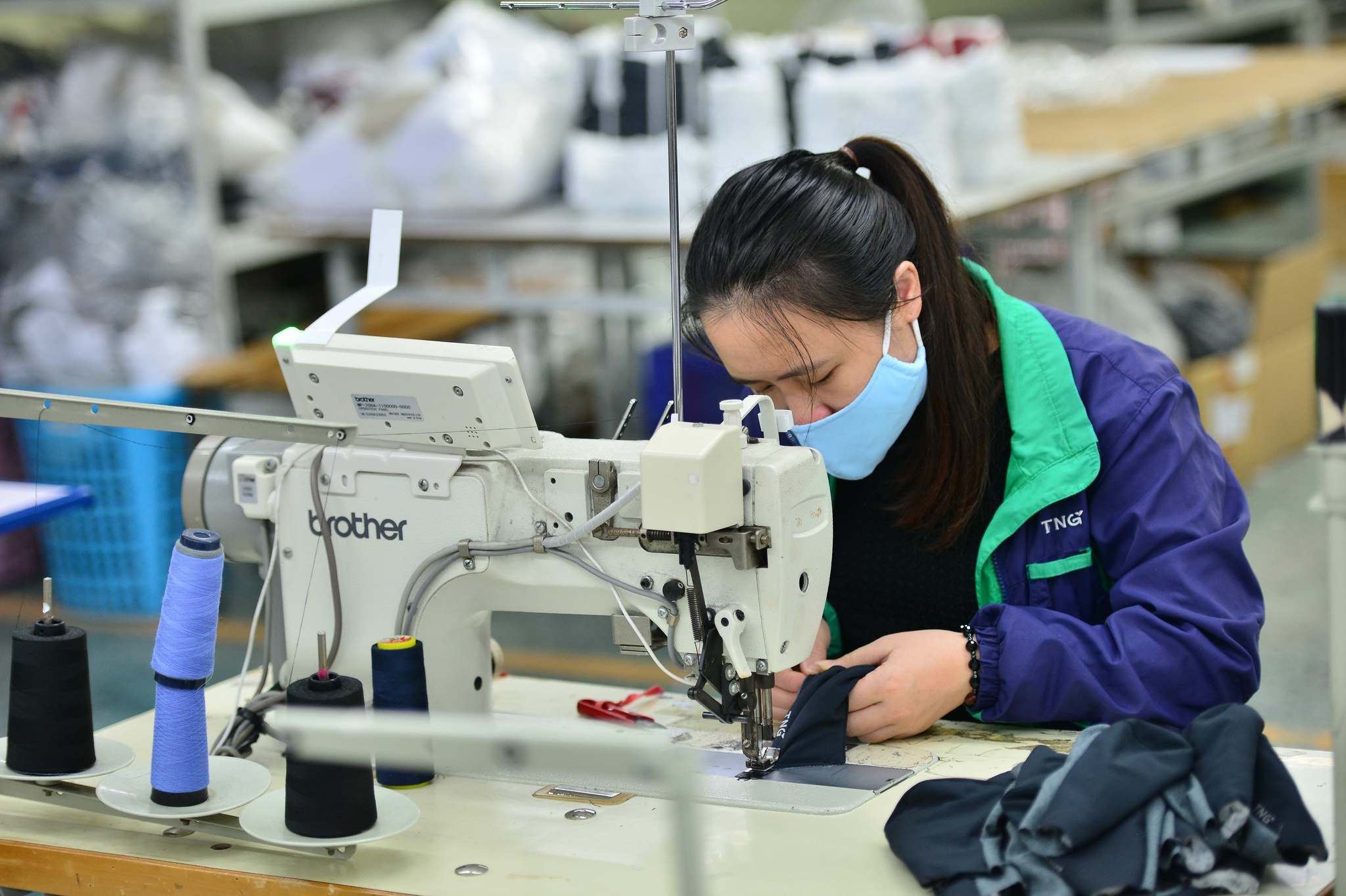Tạm ngừng kinh doanh tạm nhập, tái xuất khẩu trang, găng tay y tế