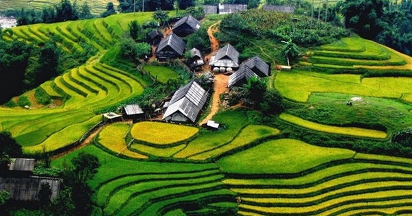 Danh sách thôn vùng đồng bào dân tộc thiểu số và miền núi, thôn đặc biệt khó khăn; xã vùng đồng bào dân tộc thiểu số và miền núi, xã khu vực I, II, III trên địa bàn tỉnh Thái Nguyên giai đoạn 2026 - 2030