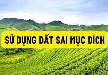 TỜ GẤP: MỘT SỐ QUY ĐỊNH XỬ PHẠT VI PHẠM HÀNH CHÍNH TRONG LĨNH VỰC ĐẤT ĐAI VỀ HÀNH VI SỬ DỤNG ĐẤT SAI MỤC ĐÍCH
